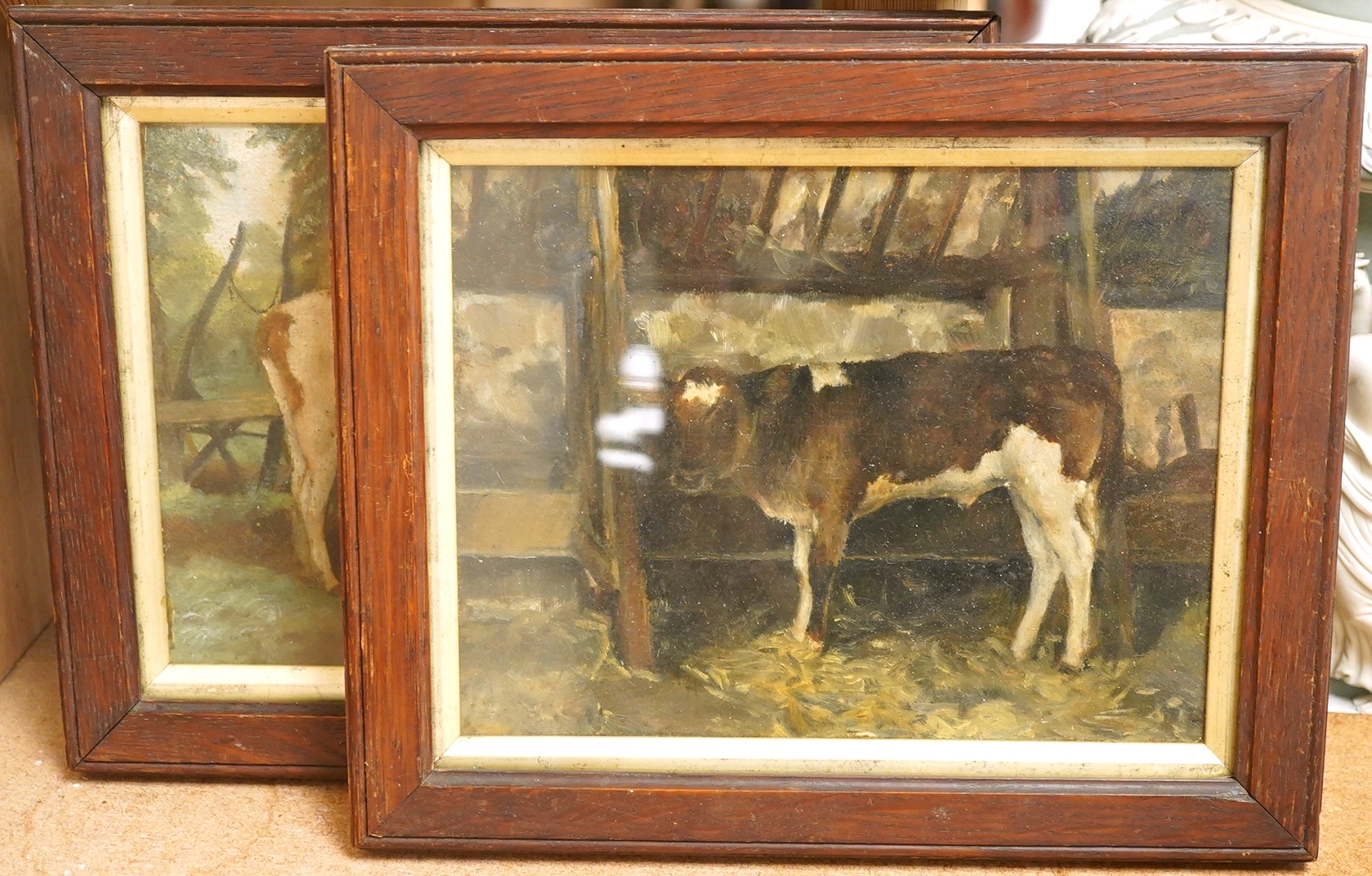 Late 19th / early 20th century English School, Studies of cows, unsigned, pair of oils on canvas, 16 x 20cm